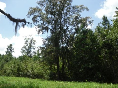 9 A Raspberry Way, Tallahassee, FL 32312