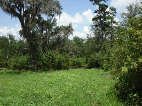 8 A Raspberry Way, Tallahassee, FL 32312