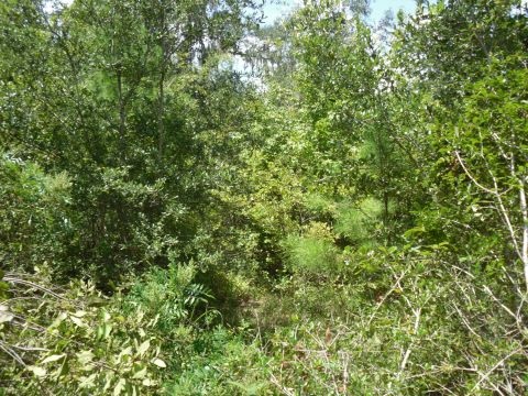 8 A Raspberry Way, Tallahassee, FL 32312