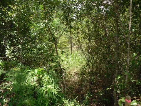 8 A Raspberry Way, Tallahassee, FL 32312