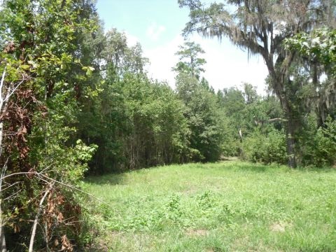 8 A Raspberry Way, Tallahassee, FL 32312