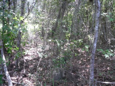 8 A Raspberry Way, Tallahassee, FL 32312
