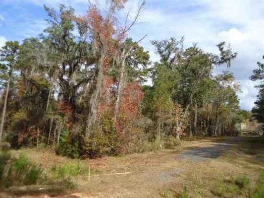 Lot 1B Hickory Woods, Tallahassee, FL 32312