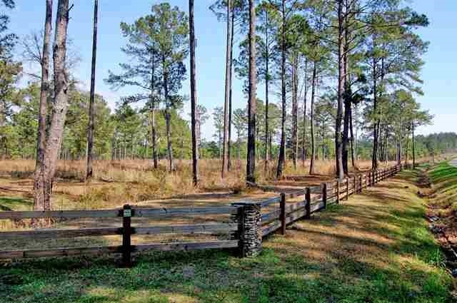 XXX Pine Bluff, Tallahassee, FL 32312