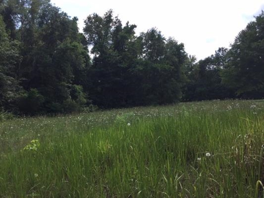 0 Palace, Tallahassee, FL 32317
