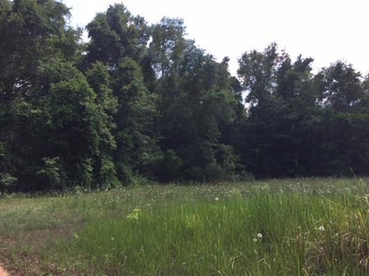 0 Palace, Tallahassee, FL 32317