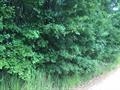 0 Palace, Tallahassee, FL 32317