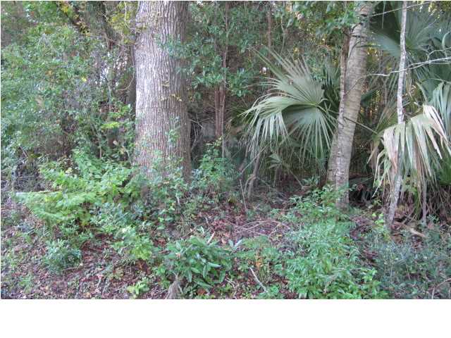 430 BLUFF RD, Apalachicola, FL 32320