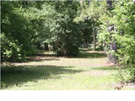 2667 BLUFF RD, Apalachicola, FL 32320