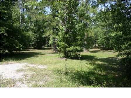 2667 BLUFF RD, Apalachicola, FL 32320