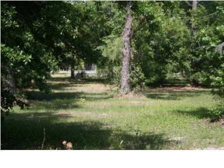 2667 BLUFF RD, Apalachicola, FL 32320