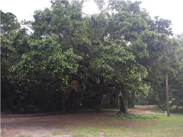 126 MAGNOLIA LN, Apalachicola, FL 32320