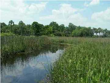 1146 DURHAM DR, Apalachicola, FL 32320