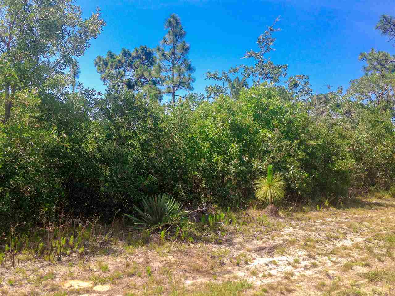 144 Anhinga Trail, Carrabelle, FL 32322