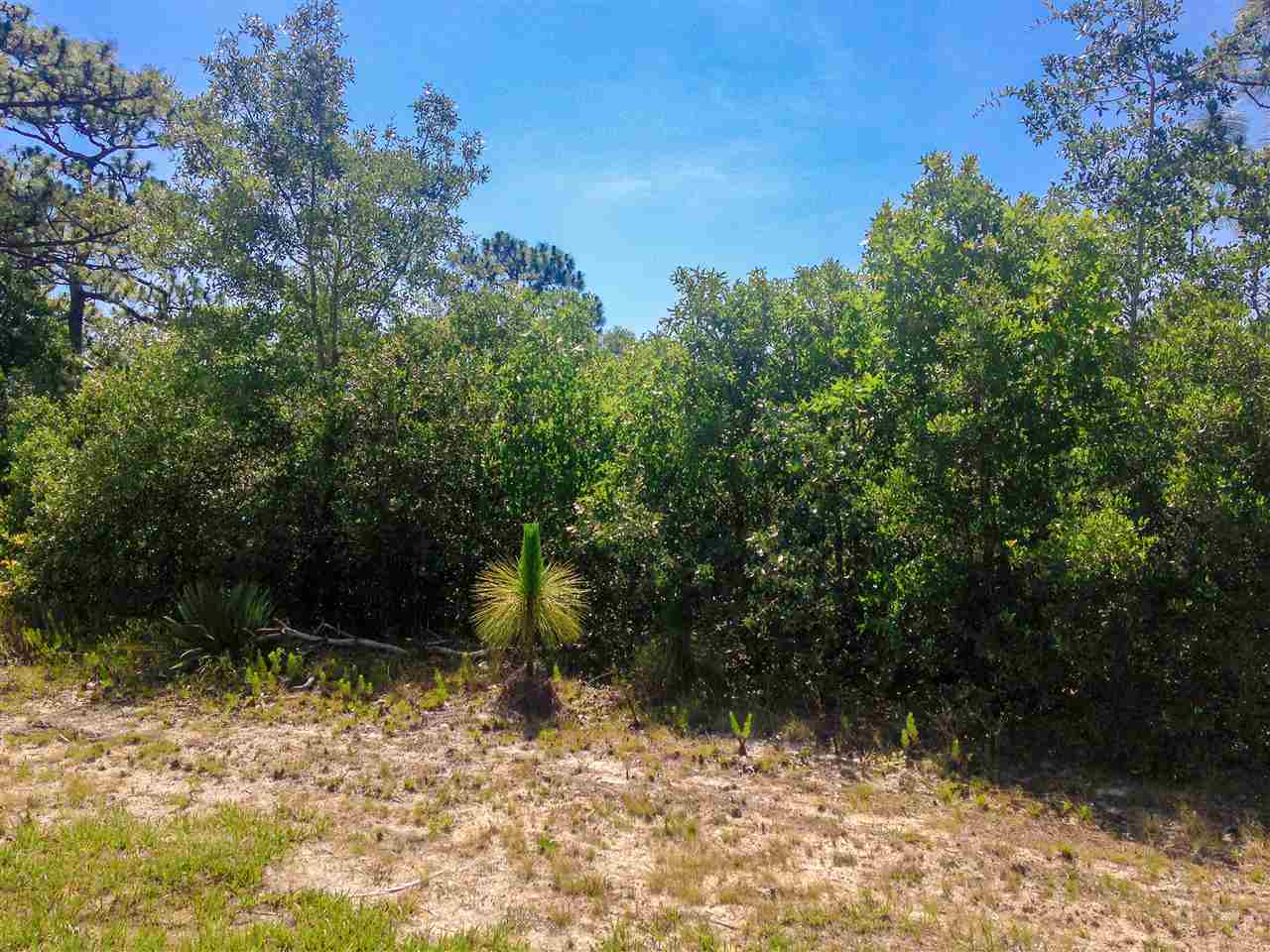 144 Anhinga Trail, Carrabelle, FL 32322