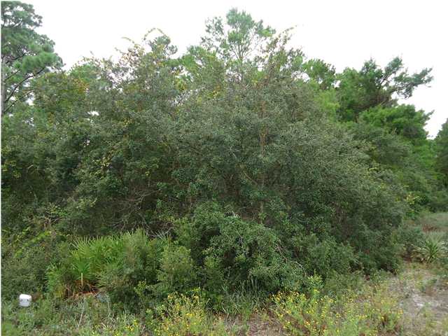 1991 WEST HWY 98, Carrabelle, FL 32322