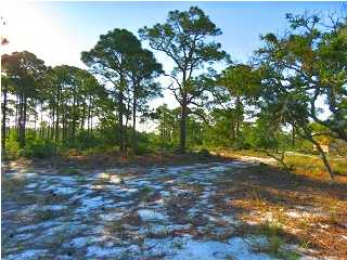 665 BAYSIDE DR., Carrabelle, FL 32322