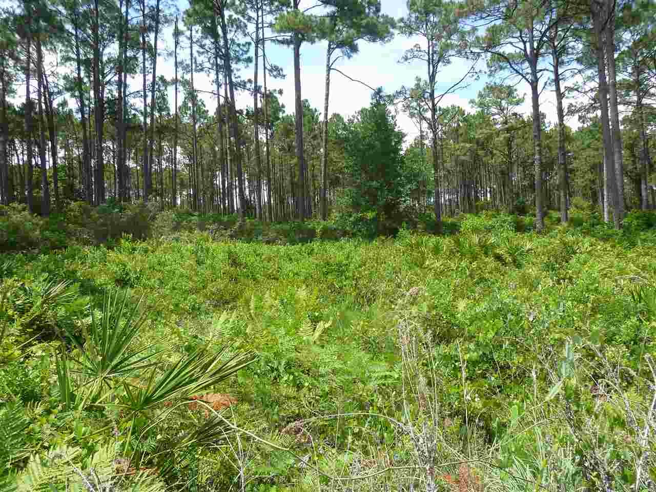 2916 & 2917 Hwy 98, Lanark, FL 32322
