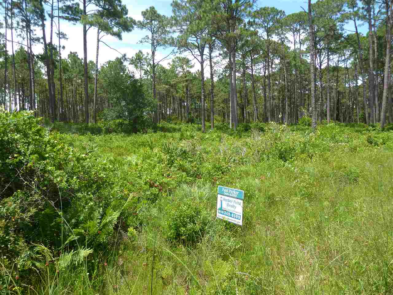 2916 & 2917 Hwy 98, Lanark, FL 32322