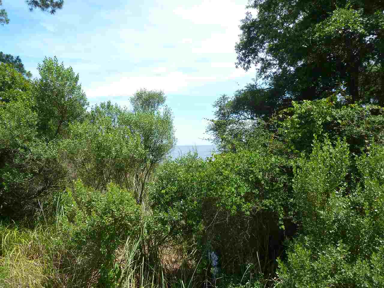 2916 & 2917 Hwy 98, Lanark, FL 32322