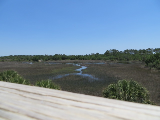 74 Southside, Oyster Bay, FL 32327