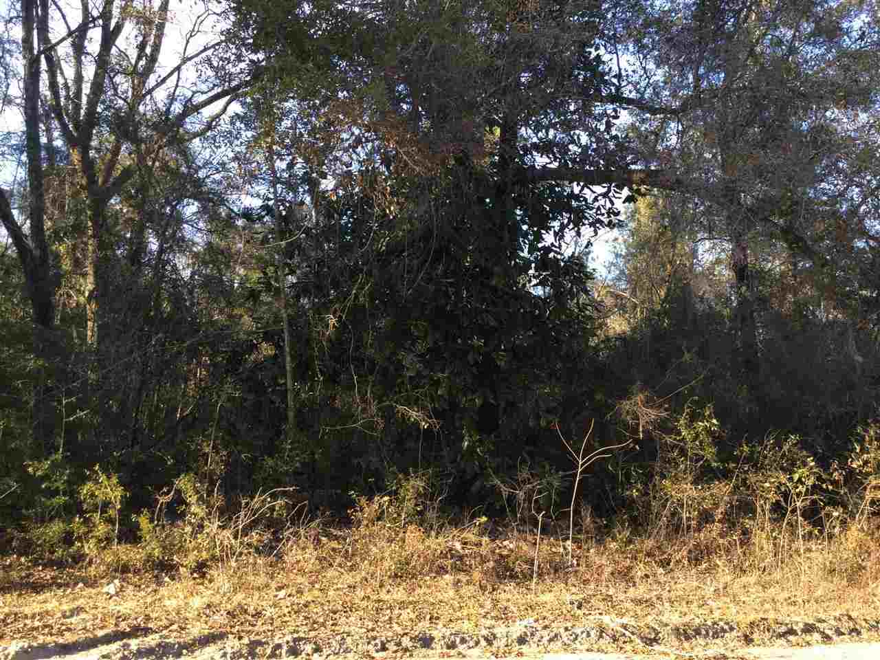 Lot 18 Nelson Road, Crawfordville, FL 32327