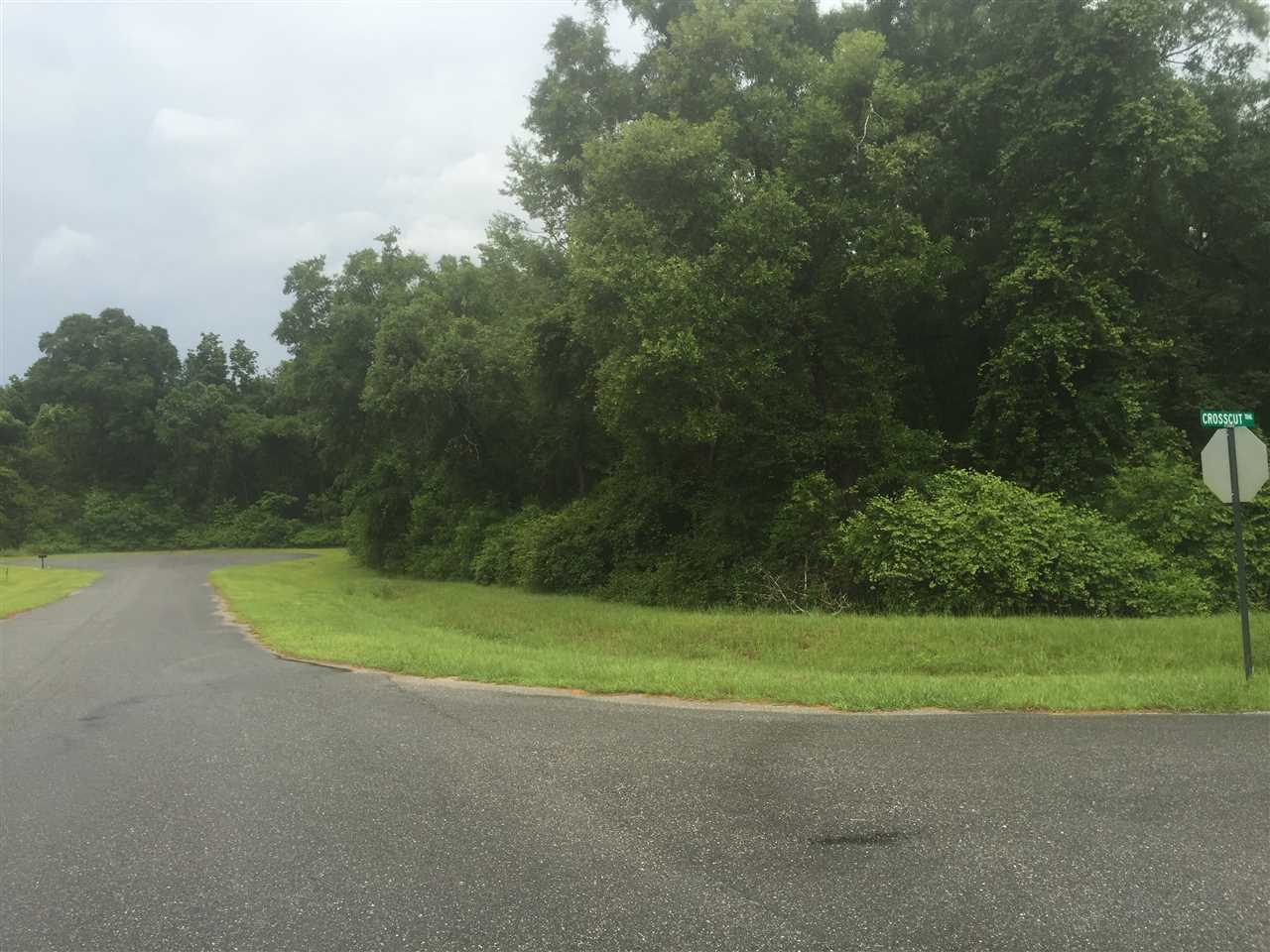 Lot 20 Crosscut, Crawfordville, FL 32327