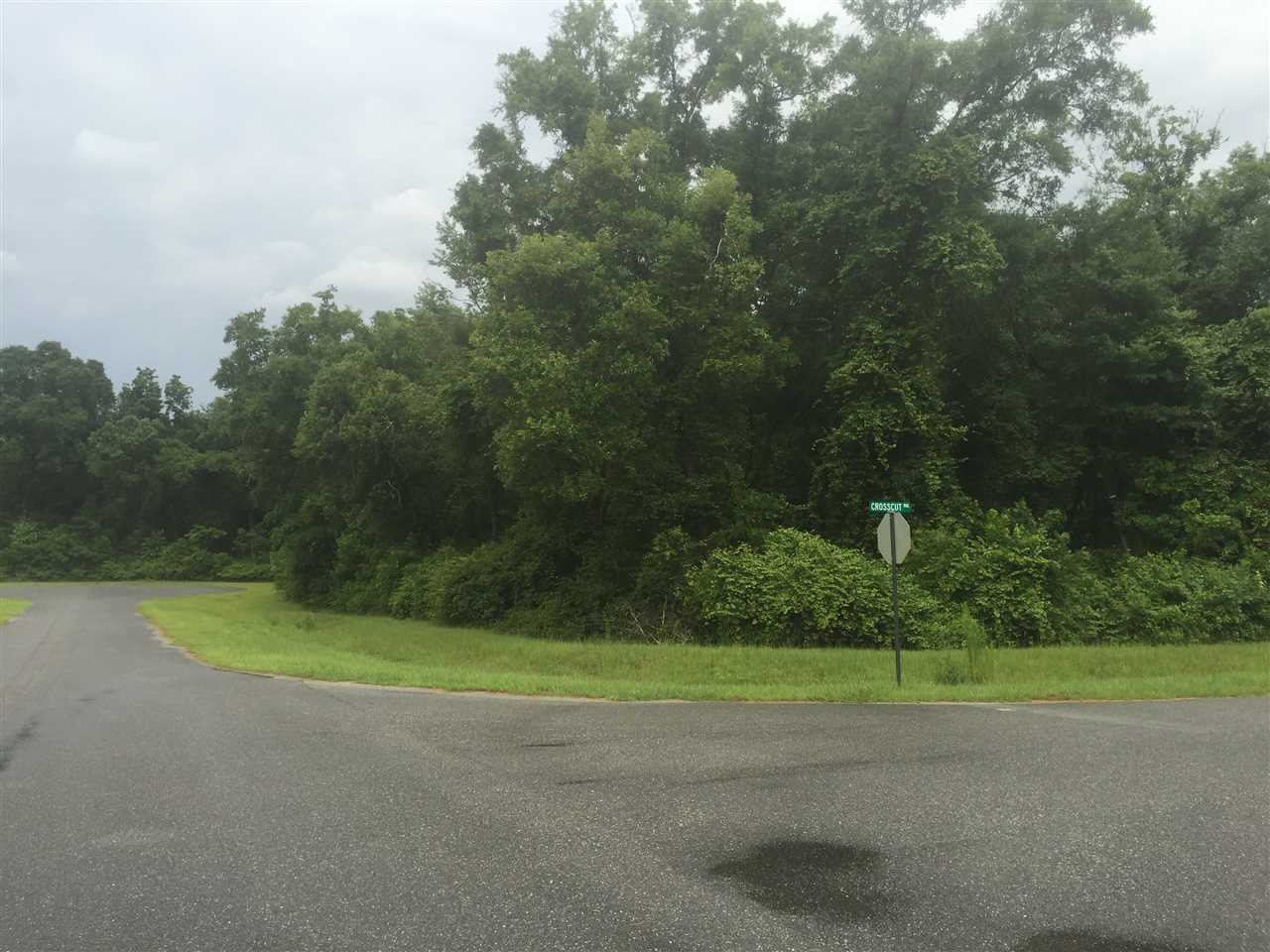 Lot 20 Crosscut, Crawfordville, FL 32327