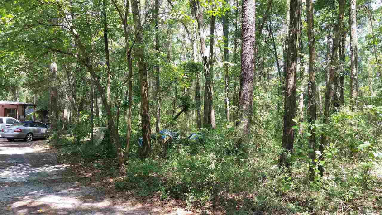 739 Wakulla Arran, Crawfordville, FL 32327