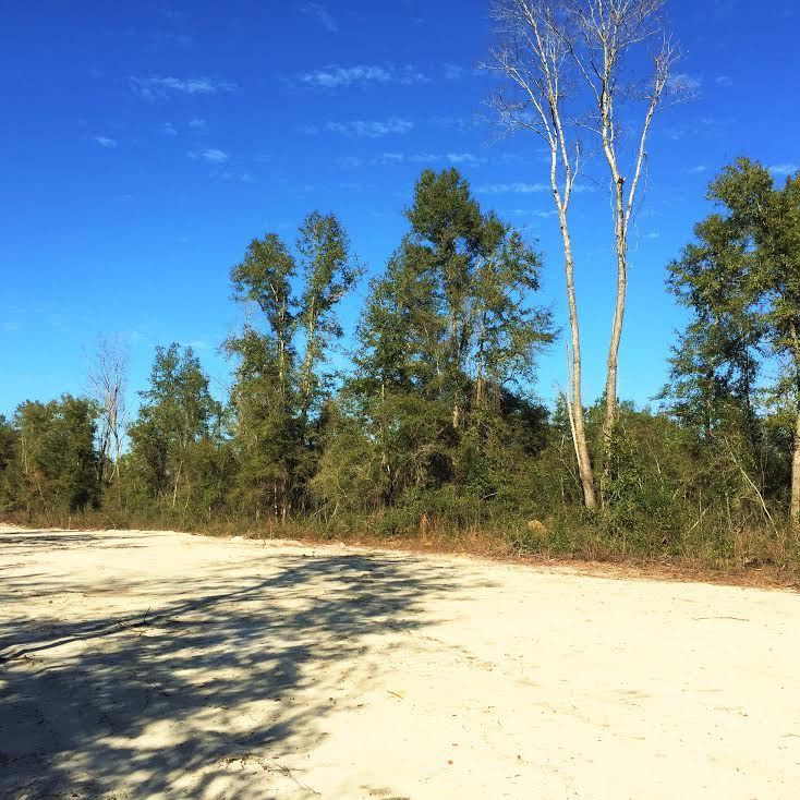 XX Wakulla Arran, Crawfordville, FL 32327