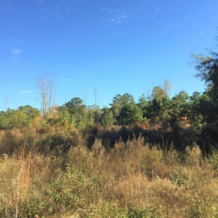 Lot 10 Martin Farms, Crawfordville, FL 32327