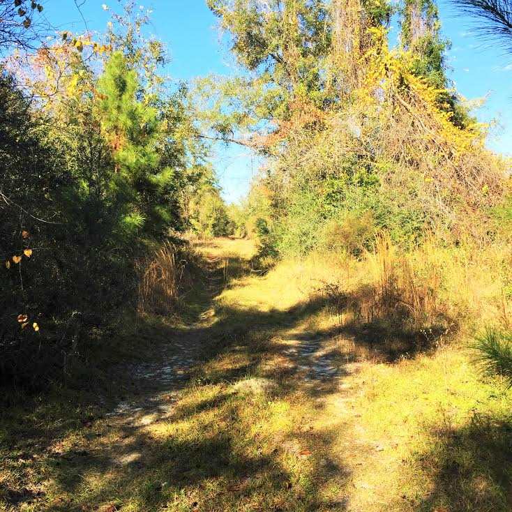 Lot 10 Martin Farms, Crawfordville, FL 32327