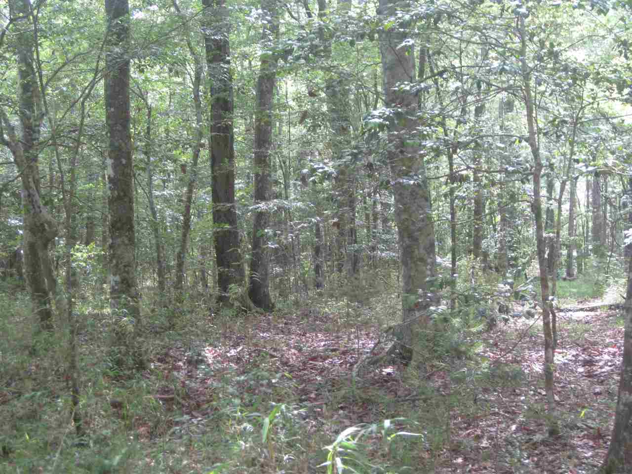 Lot 4 River Plantation, Crawfordville, FL 32327