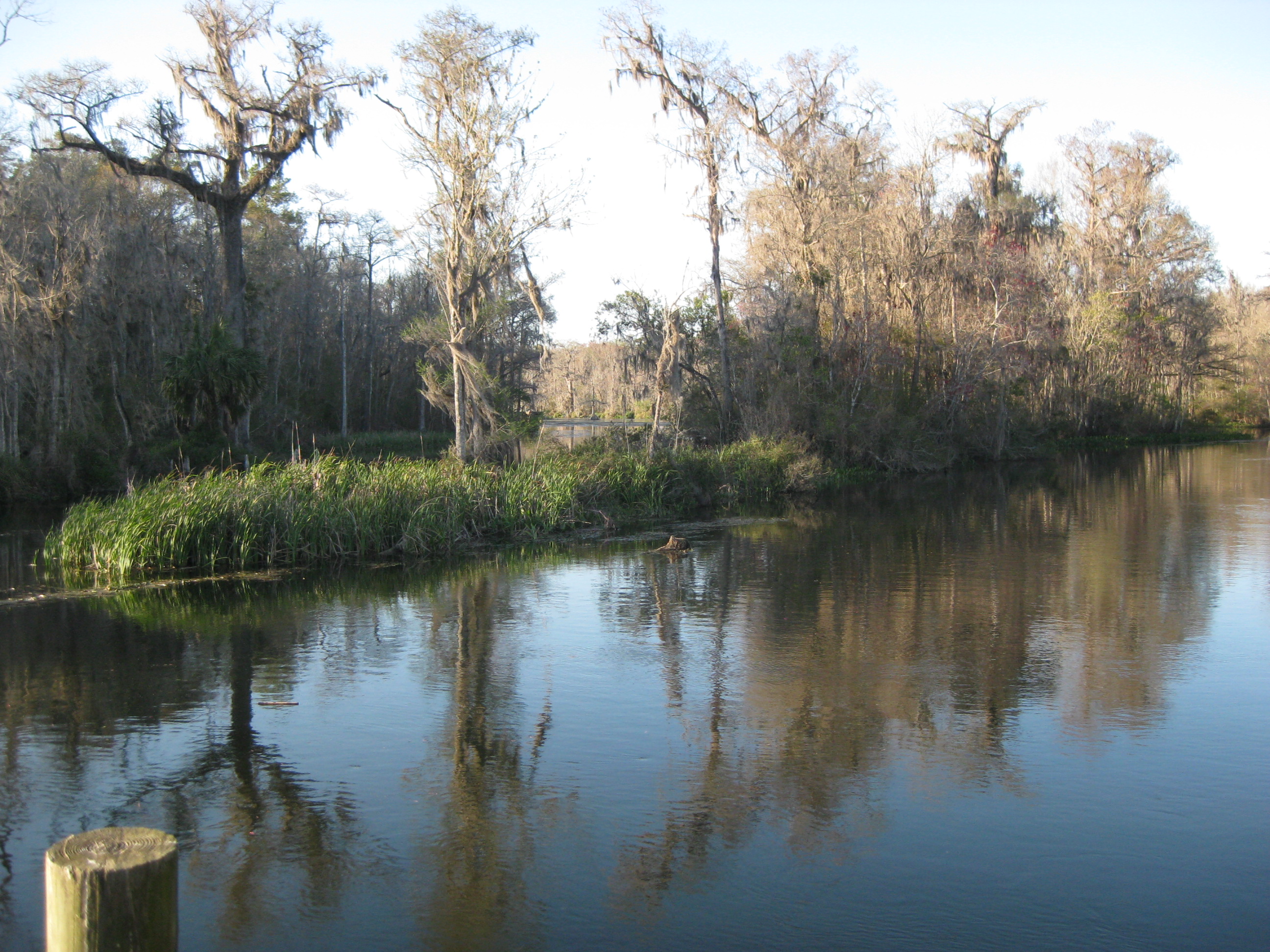 Lot 4 River Plantation, Crawfordville, FL 32327