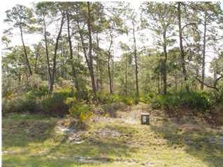 216 POND AWAY CT, Eastpoint, FL 32328