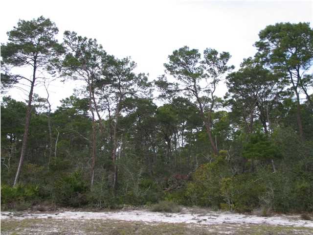 158 LONGLEAF DR, Eastpoint, FL 32328