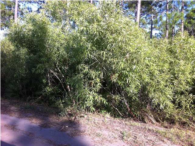 746 BUCK ST, Eastpoint, FL 32328