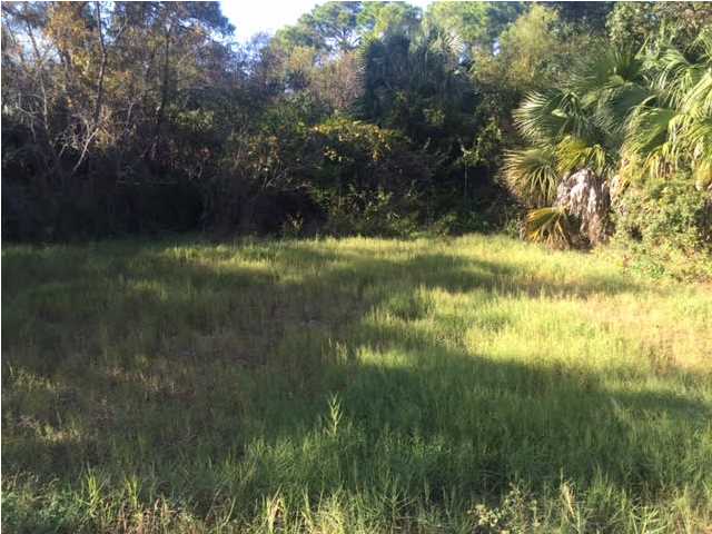 841 WEST PINE AVE, ST. George Island, FL 32328
