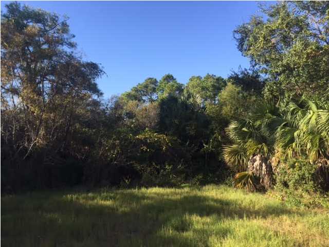 841 WEST PINE AVE, ST. George Island, FL 32328
