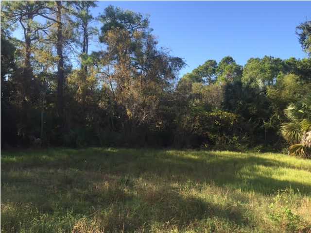 841 WEST PINE AVE, ST. George Island, FL 32328