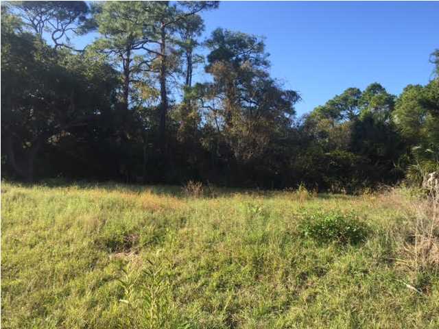 841 WEST PINE AVE, ST. George Island, FL 32328