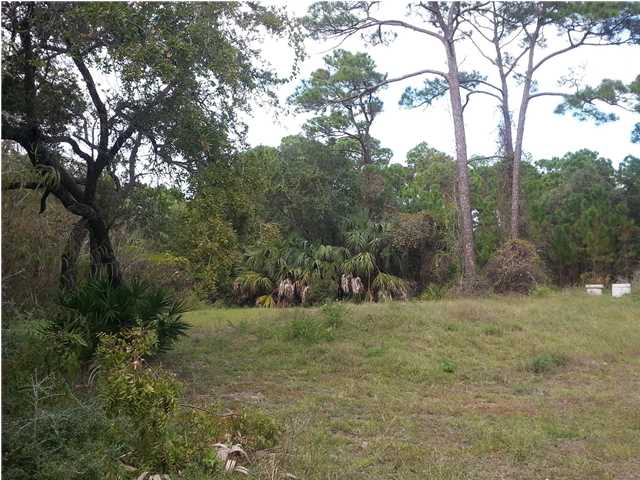 841 WEST PINE AVE, ST. George Island, FL 32328