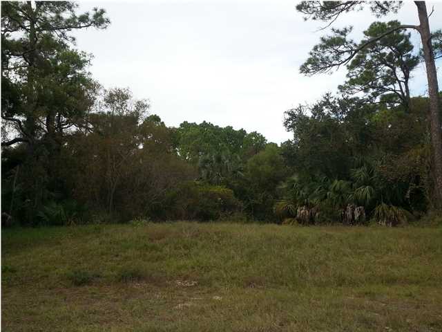 841 WEST PINE AVE, ST. George Island, FL 32328