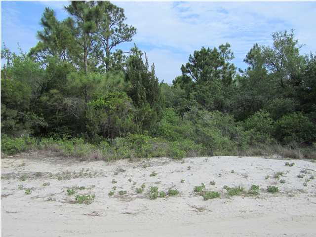 565 WEST PINE AVE, ST. George Island, FL 32328