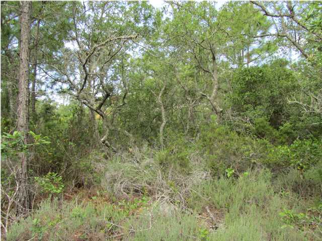 565 WEST PINE AVE, ST. George Island, FL 32328