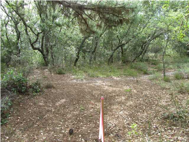 565 WEST PINE AVE, ST. George Island, FL 32328