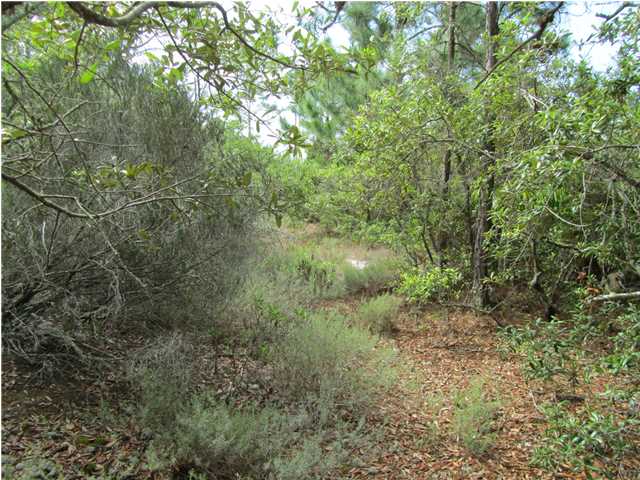 565 WEST PINE AVE, ST. George Island, FL 32328