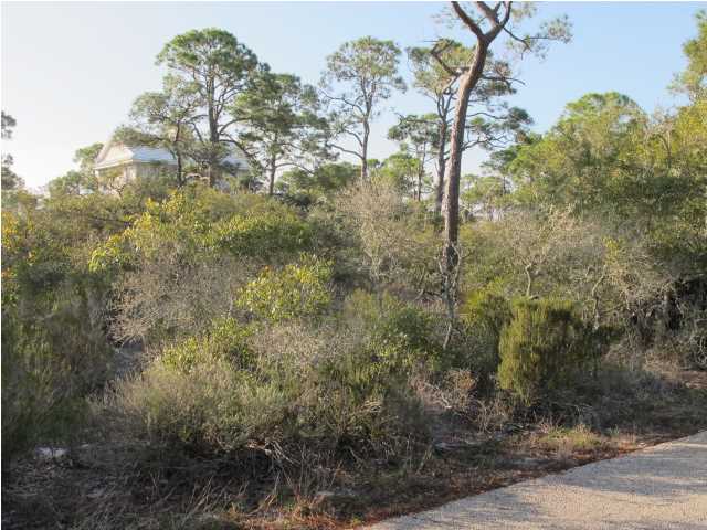 1548 LEISURE LN, ST. George Island, FL 32328