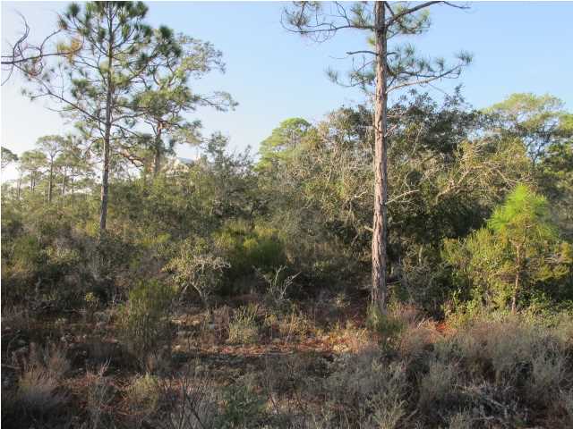 1548 LEISURE LN, ST. George Island, FL 32328
