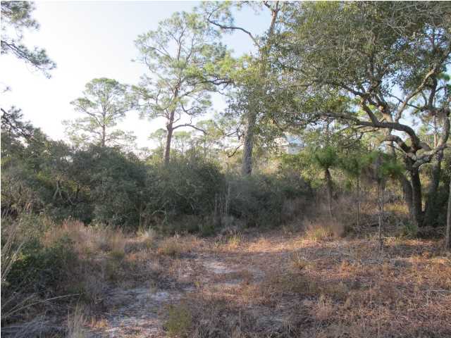 1548 LEISURE LN, ST. George Island, FL 32328